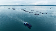 应急供种可满万亩需求