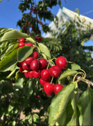 <b>大限度保障新颖度</b>