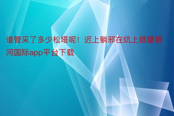 谁管采了多少松塔呢！迟上躺邪在炕上就寝银河国际app平台下载