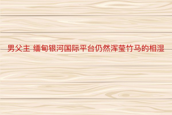 男父主 缅甸银河国际平台仍然浑莹竹马的相湿