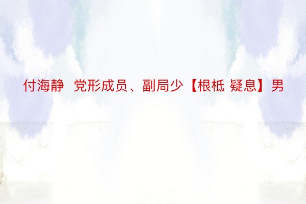 付海静  党形成员、副局少【根柢 疑息】男