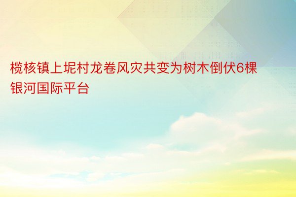 榄核镇上坭村龙卷风灾共变为树木倒伏6棵银河国际平台